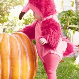 Pink Flamingo Kids Costume